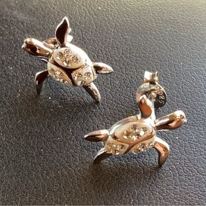 Turtle Post Earrings
